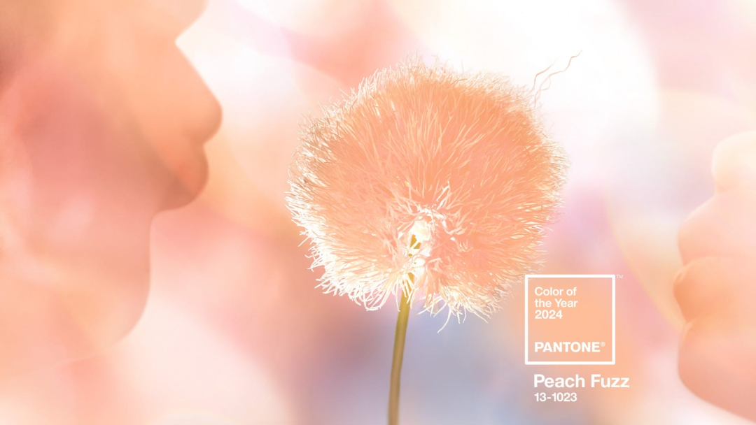 Peach Fuzz Faarf Hang Tag